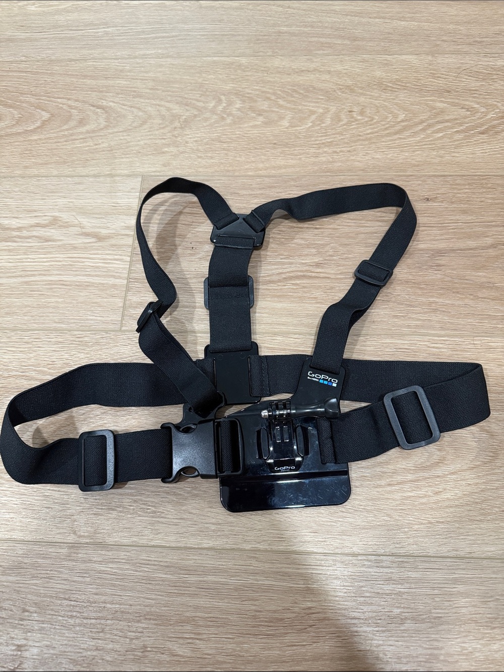 GoPro Chest Mount